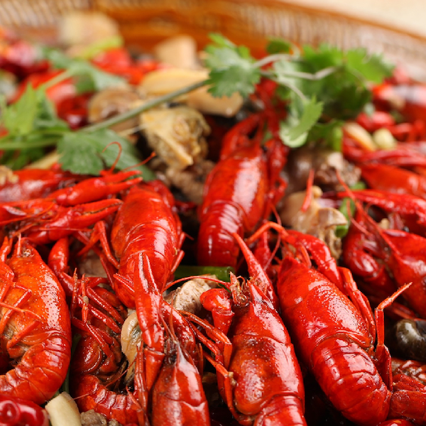Mini-lobter-mala Mini-lobter-mala